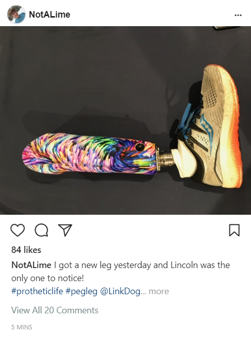 Fake instagram.PNG