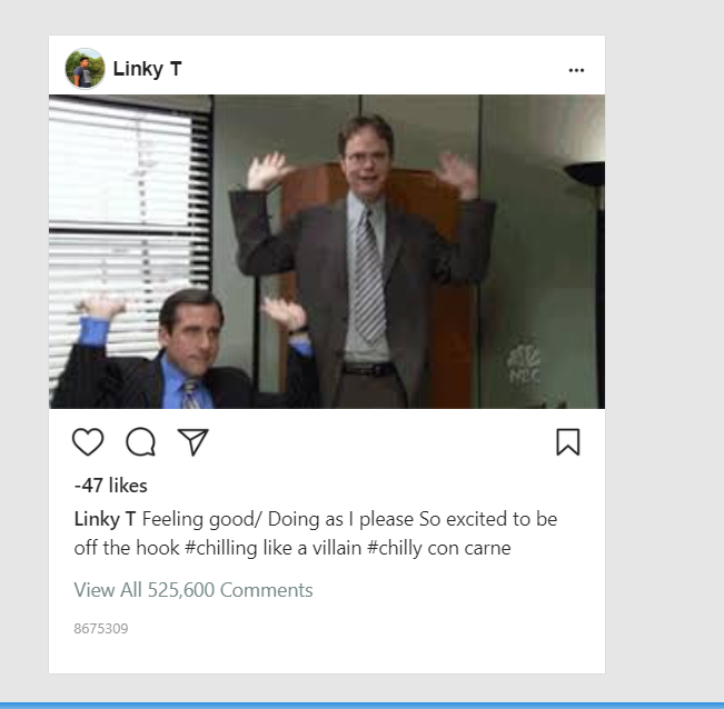 Linky T. Instagram Post