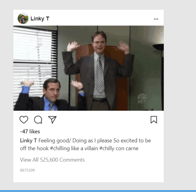 Linky T. Instagram Post